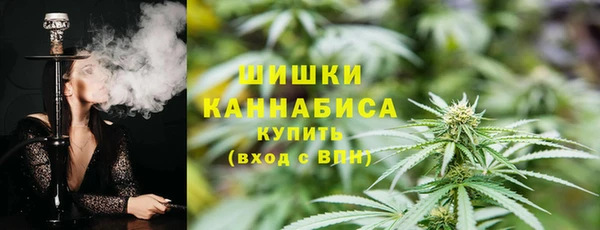 крисы Богданович