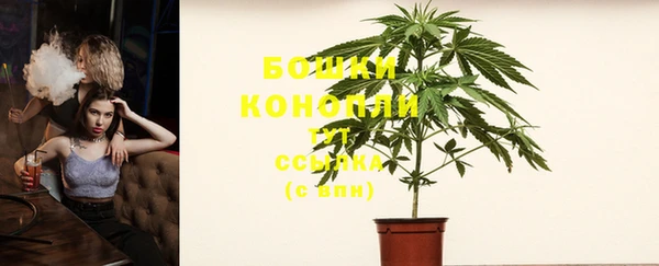 apvp Богородицк
