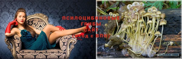 кокаин VHQ Богородск