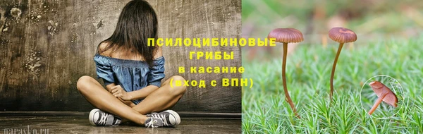 apvp Богородицк