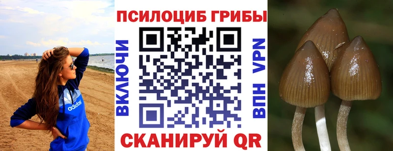 mega маркетплейс  Челябинск  Псилоцибиновые грибы ЛСД 